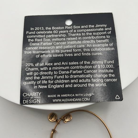 Alex and Ani the jimmy fund charm bracelet - Picture 3 of 3